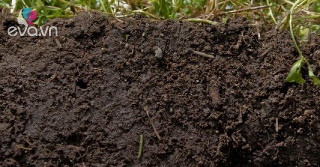 Mệnh Thổ hợp màu gì để mang lại may mắn?