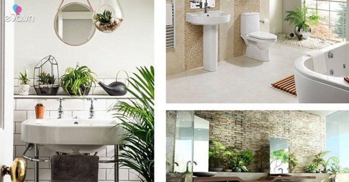 Những loại cây nên đặt trong phòng tắm để "tiền vào như nước"