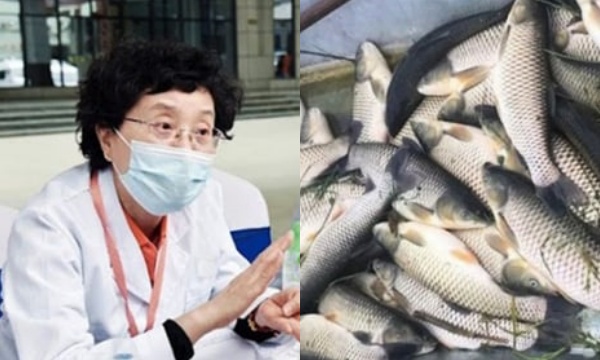 8 loại cá trong  8 loại cá trong