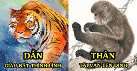 3 con giáp nhận lộc cuối tuần, ngồi nhà cũng có cơ hội phát tài 3 con giáp nhận lộc cuối tuần, ngồi nhà cũng có cơ hội phát tài
