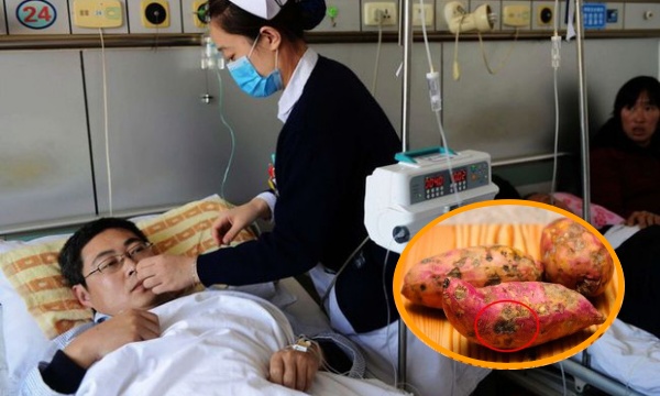 Người đàn ông bị K dạ dày chỉ vì 2 loại củ rất nhiều gia đình thường ăn Người đàn ông bị K dạ dày chỉ vì 2 loại củ rất nhiều gia đình thường ăn