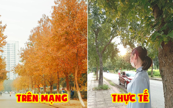 Như một cú lừa: Dân tình rần rần rủ nhau ra "sống ảo" ở con đường phong lá đỏ tại Hà Nội, kết quả "bật ngửa" khi thấy thực tế Như một cú lừa: Dân tình rần rần rủ nhau ra "sống ảo" ở con đường phong lá đỏ tại Hà Nội, kết quả "bật ngửa" khi thấy thực tế