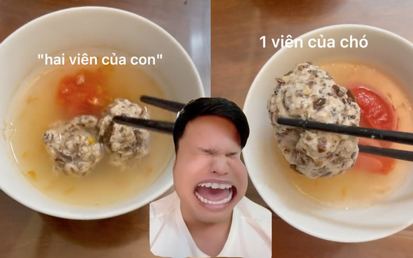 Chàng trai cảm động khi thấy mẹ không thiên vị đồ ăn giữa mình và cún cưng nữa, nào ngờ lúc thấy cái kết thì "khóc một dòng sông" Chàng trai cảm động khi thấy mẹ không thiên vị đồ ăn giữa mình và cún cưng nữa, nào ngờ lúc thấy cái kết thì "khóc một dòng sông"